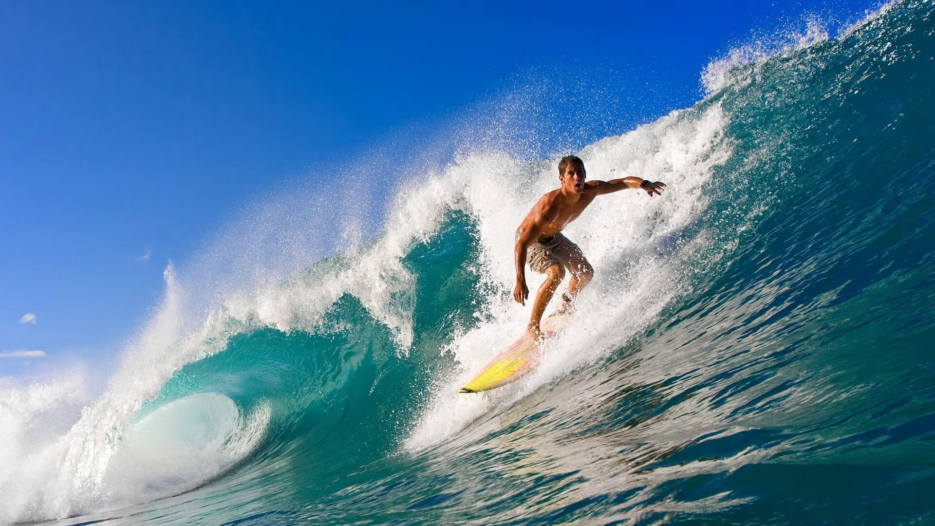 _海洋运动嘉年华：冲浪、潜水一站式体验_，海洋馆 潜水表演